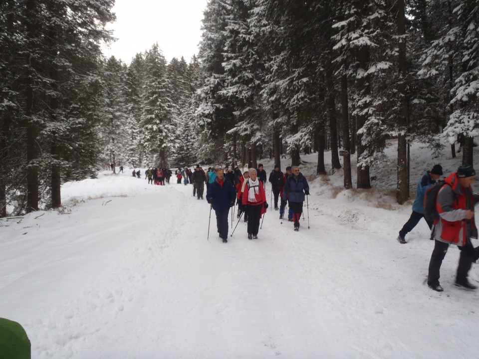 20190112 Osankarica - foto povečava