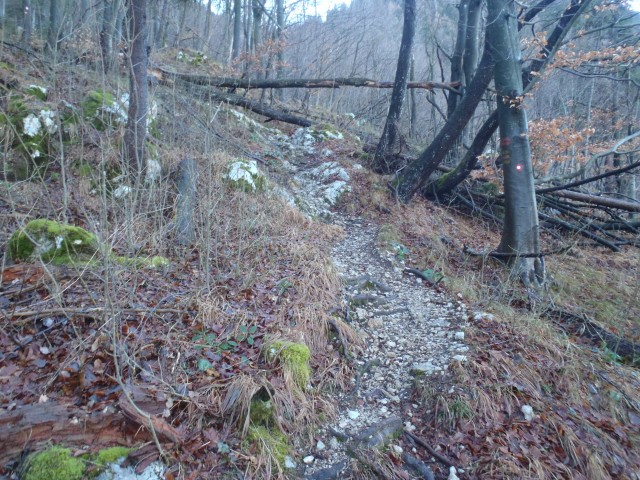 20190203 Menina planina - krožna - foto