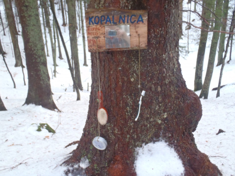 20190203 Menina planina - krožna - foto povečava