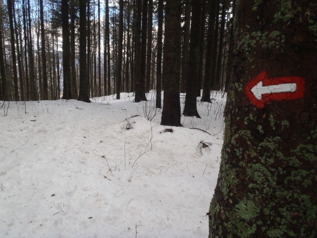 20190203 Menina planina - krožna - foto