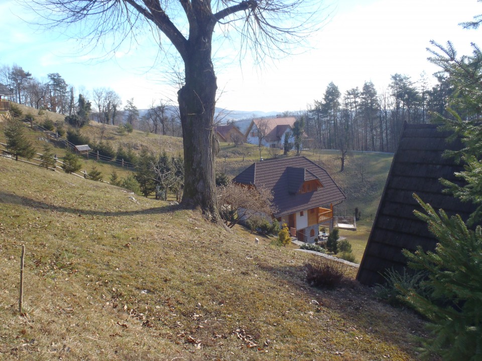 20190215 Polzela-Oljka-Andraž-Velenje - foto povečava