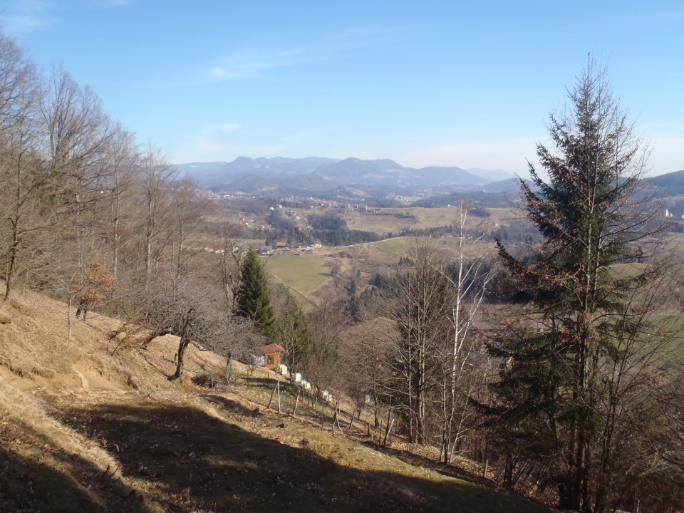 20190215 Polzela-Oljka-Andraž-Velenje - foto povečava