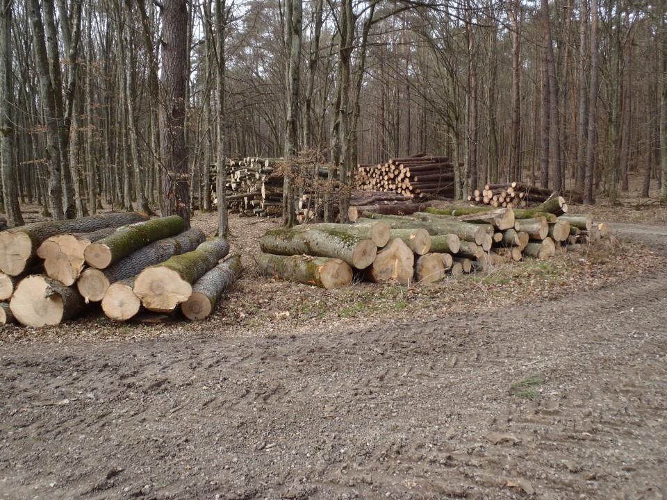 20190224 Mem.a.delavca in v.žižka,iz Kobilja - foto povečava