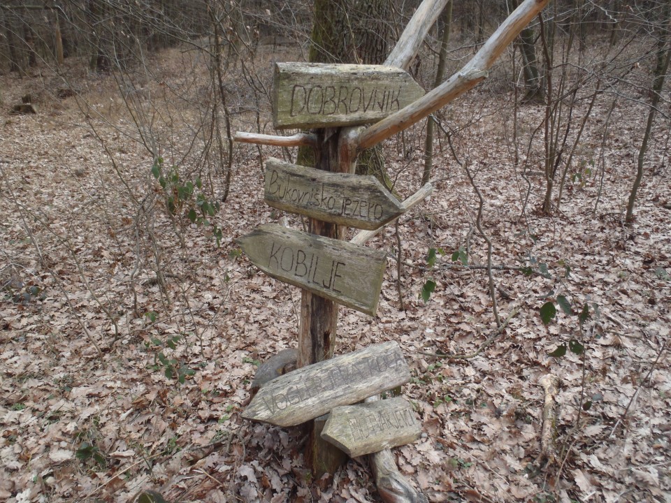 20190224 Mem.a.delavca in v.žižka,iz Kobilja - foto povečava