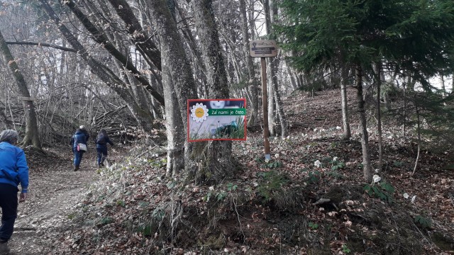 20190302 Jurčičev pohod, Višnja gora-Muljava - foto