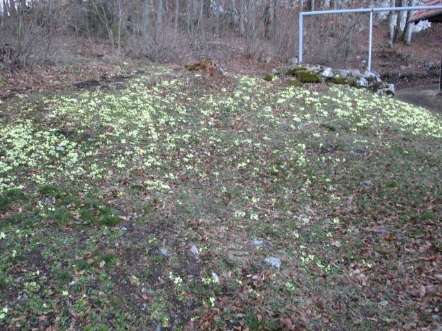 20190317 Mala Gora,Seljan-Sv.Ana-stene Sv.Ane - foto