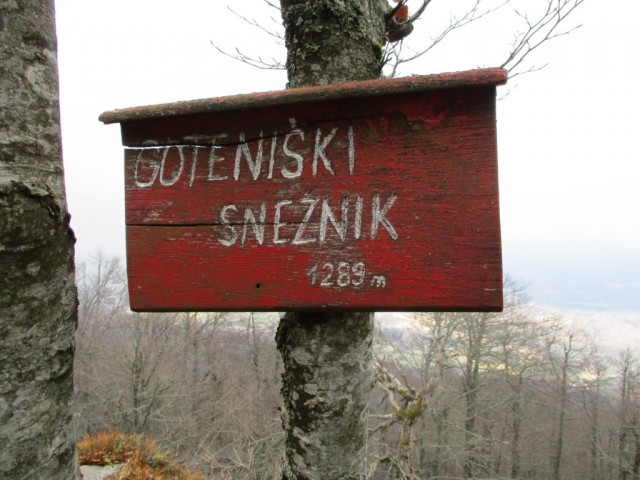20190317 Gotenica - Goteniški snežnik - foto