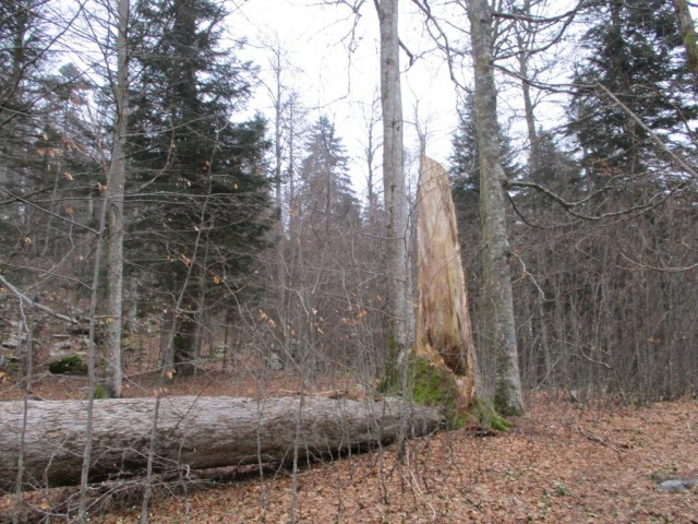 20190317 Ravne - Cerk - foto