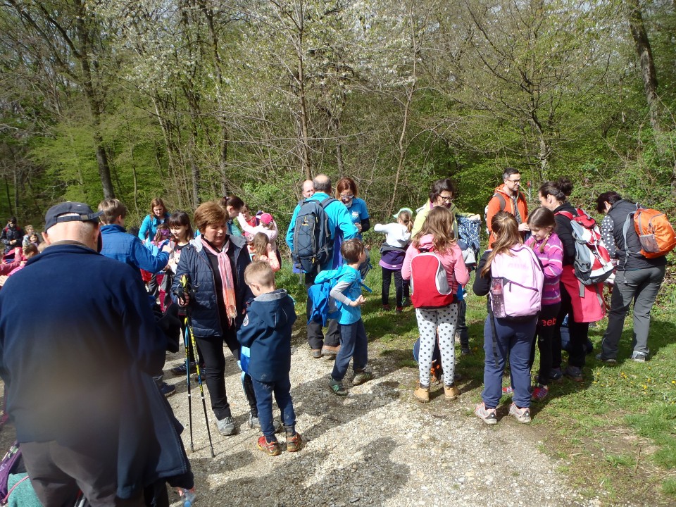 20190406 MIG Bogojina - Bukovniško jezero - foto povečava