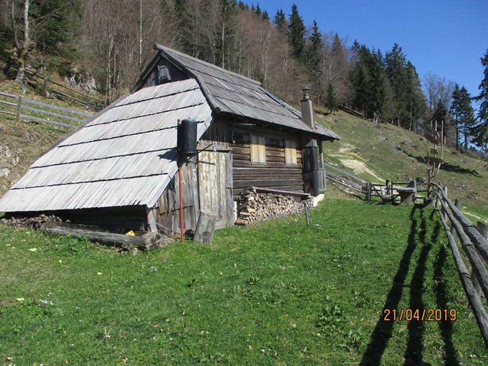 20190421 Velika planina v cvetju - foto povečava