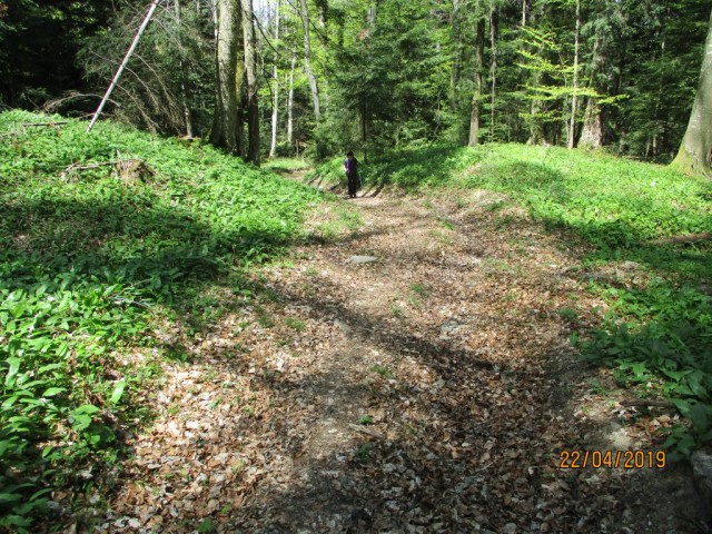 20190422 Bohor - koča in Vel. Javornik - foto