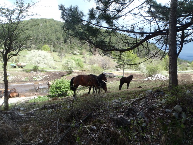 20190428 Istra-Čičarija-jama Dimnice - foto