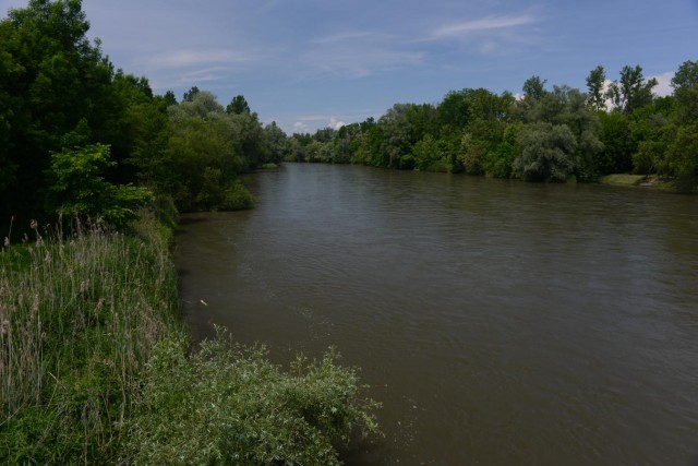 20190526 Spust po Muri za Dimekov memorial - foto