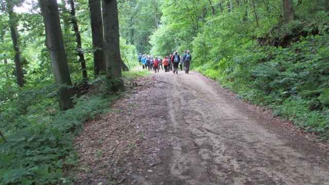 20190601 MDO izobraževanje prve pomoči - foto