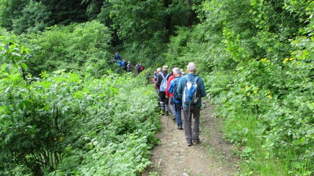 20190601 MDO izobraževanje prve pomoči - foto
