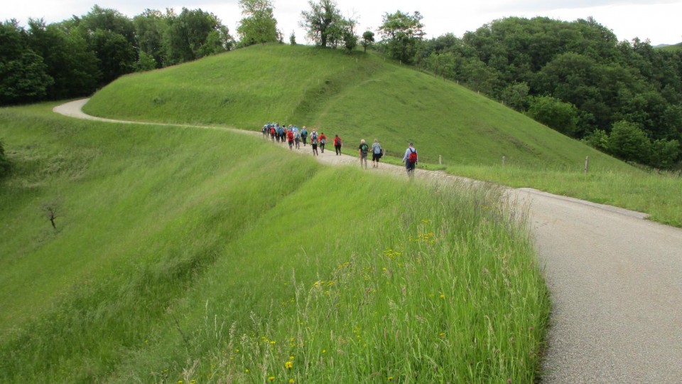 20190601 MDO izobraževanje prve pomoči - foto povečava