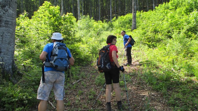 20190610 Trdinov vrh in Mirna gora - foto