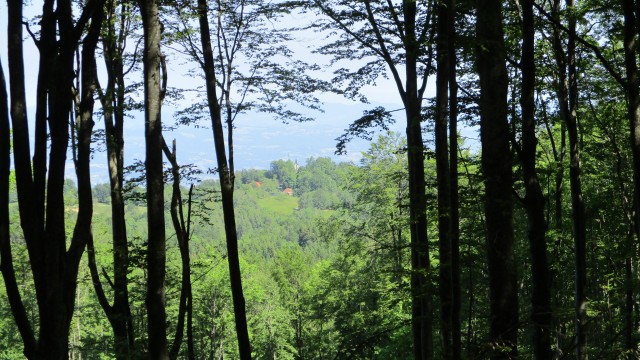 20190610 Trdinov vrh in Mirna gora - foto