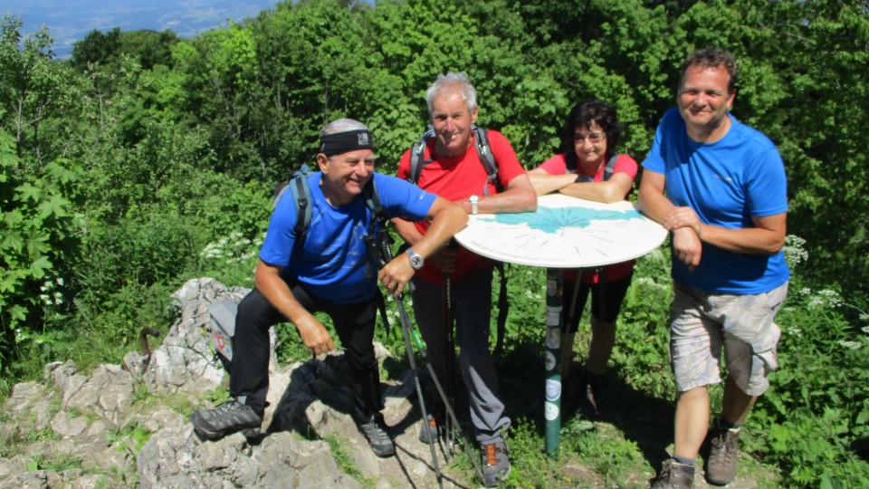 20190610 Trdinov vrh in Mirna gora - foto povečava