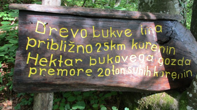 20190610 Trdinov vrh in Mirna gora - foto