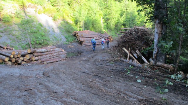 Pospravljanje lesa po neurjih.