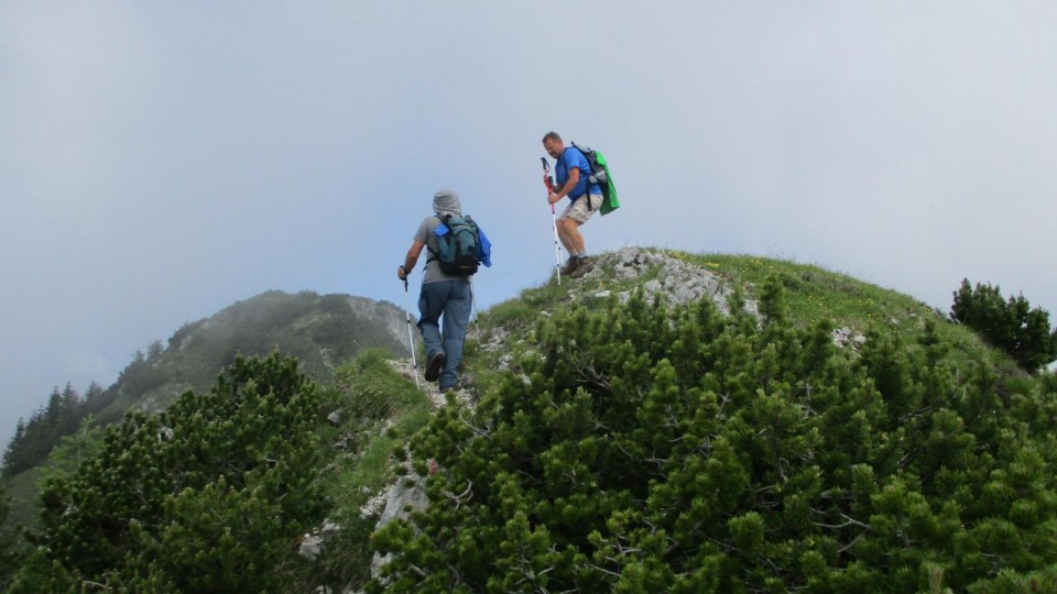 20190625 Sp.Sle,Govca,Obel,Felsentor,potočka  - foto povečava