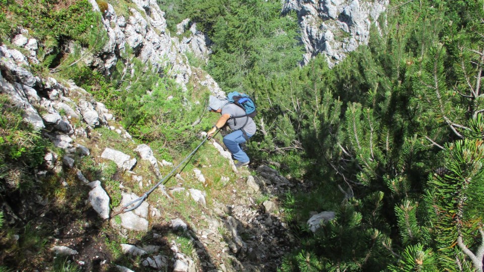 Spust po nemarkirani že dolgo nevzdrževani poti do Lipševih vrat.