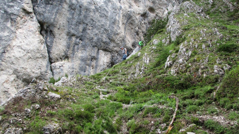 Spust po nemarkirani že dolgo nevzdrževani poti do Lipševih vrat.