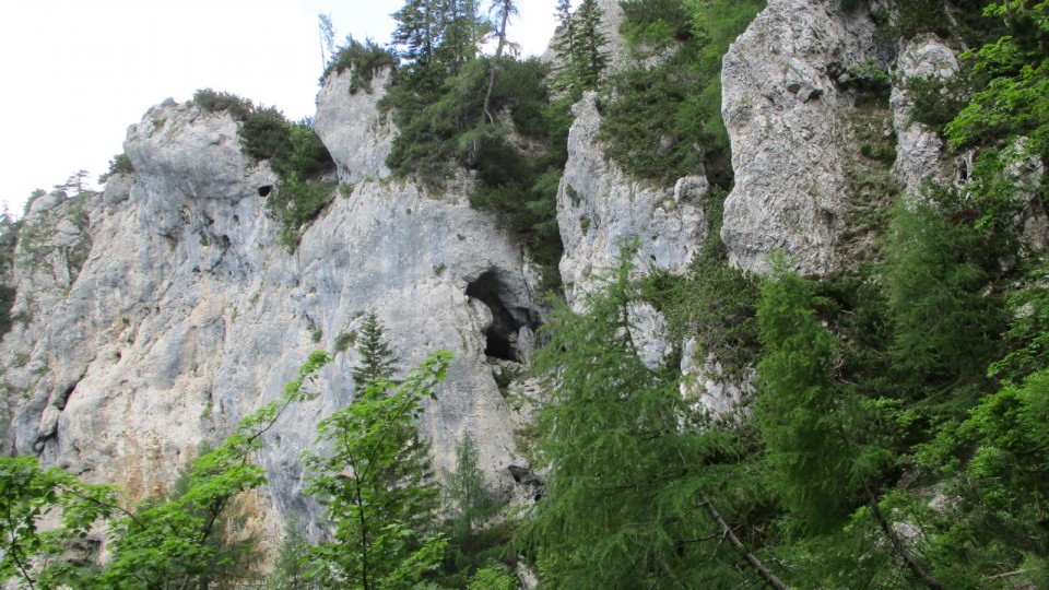 Spust po nemarkirani že dolgo nevzdrževani poti do Lipševih vrat.