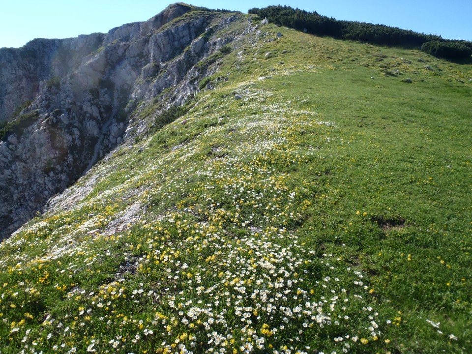 20190701 Golica-Struška-Stol-Žirovnica - foto povečava