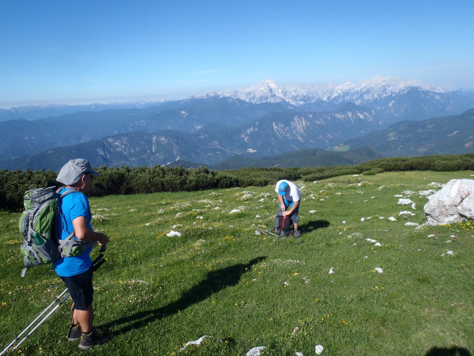 20190701 Golica-Struška-Stol-Žirovnica - foto povečava