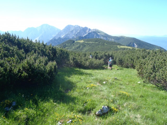 20190701 Golica-Struška-Stol-Žirovnica - foto