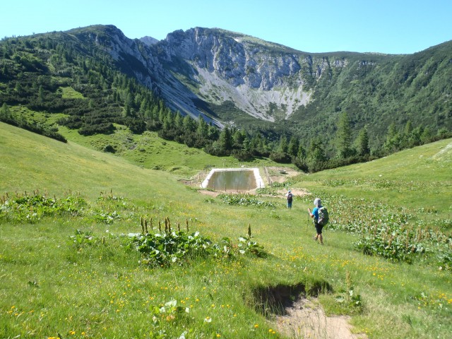 20190701 Golica-Struška-Stol-Žirovnica - foto