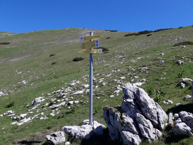 20190701 Golica-Struška-Stol-Žirovnica - foto