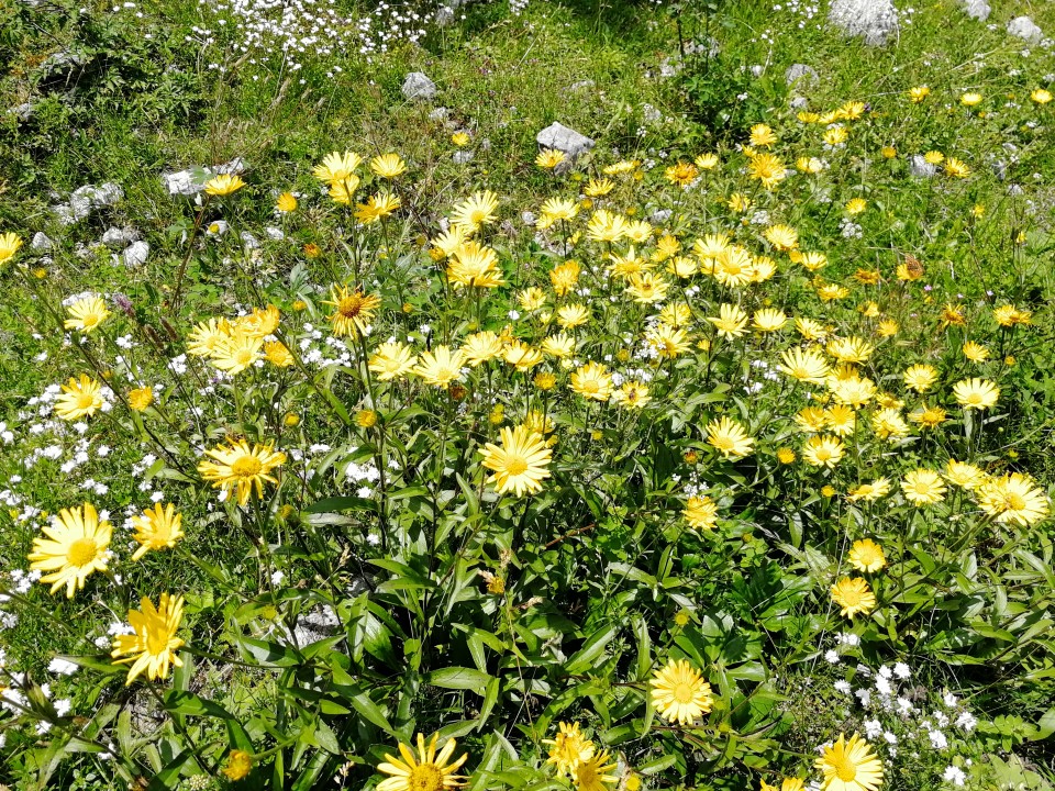 20190710 Ljubelj-Zelenica-Završnica - foto povečava