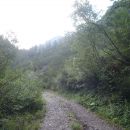 Vzpon proti planini Korošica.