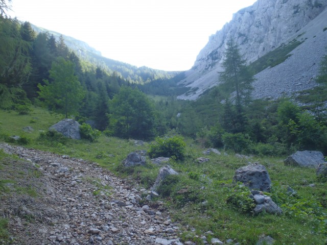 20190710 Vranček-Korošica-Košutica-Vel.vrh - foto