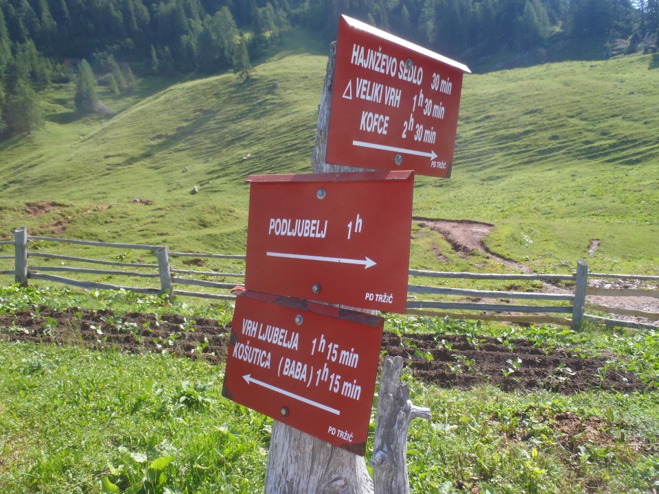 20190710 Vranček-Korošica-Košutica-Vel.vrh - foto povečava