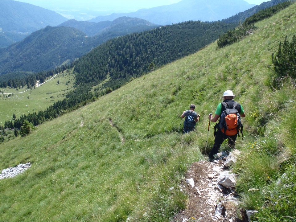 20190710 Vranček-Korošica-Košutica-Vel.vrh - foto povečava