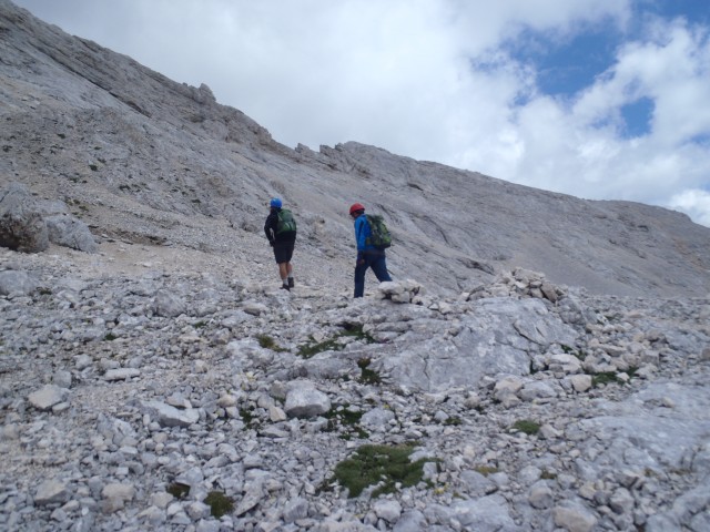 20190716 Triglav-Rudno,Studor,Vodnik,Planika- - foto