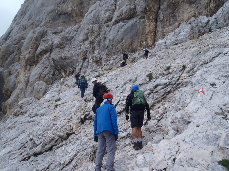 20190716 Triglav-Rudno,Studor,Vodnik,Planika- - foto povečava