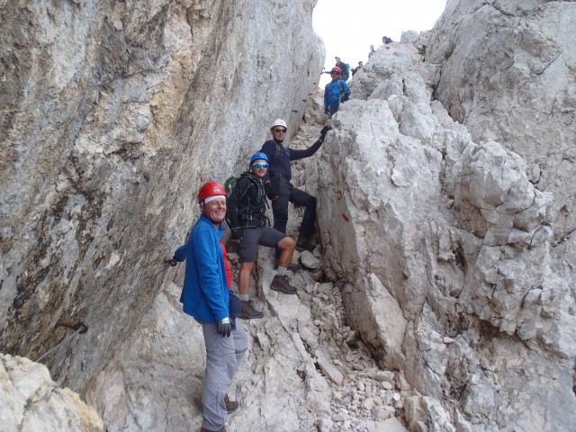 20190716 Triglav-Rudno,Studor,Vodnik,Planika- - foto