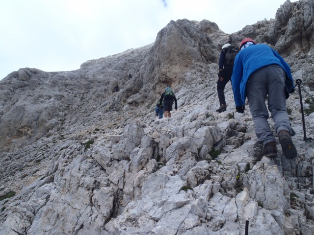 20190716 Triglav-Rudno,Studor,Vodnik,Planika- - foto