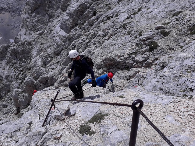 20190716 Triglav-Rudno,Studor,Vodnik,Planika- - foto