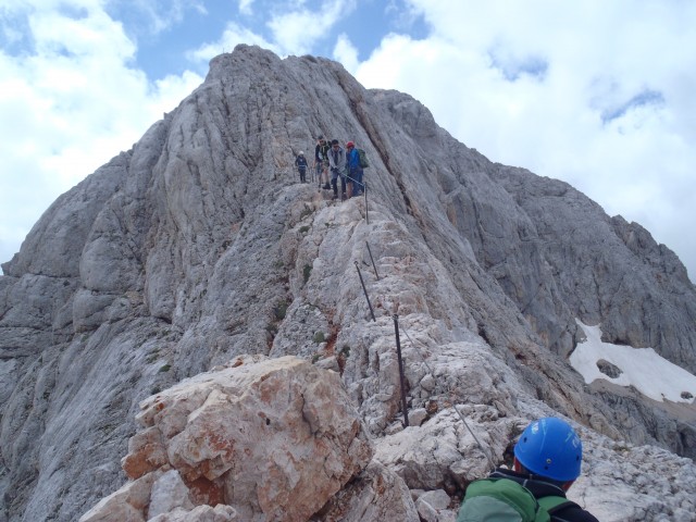 20190716 Triglav-Rudno,Studor,Vodnik,Planika- - foto