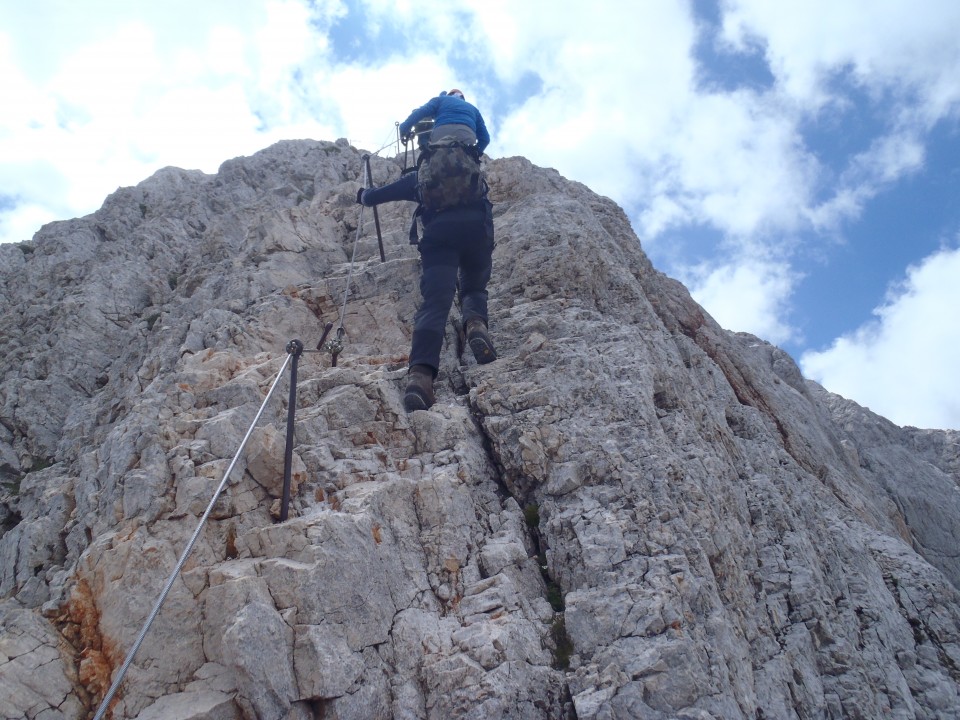 20190716 Triglav-Rudno,Studor,Vodnik,Planika- - foto povečava