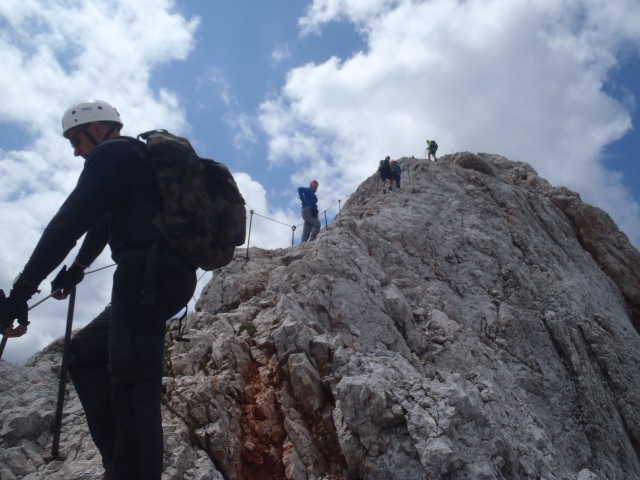 20190716 Triglav-Rudno,Studor,Vodnik,Planika- - foto