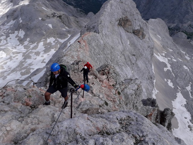 20190716 Triglav-Rudno,Studor,Vodnik,Planika- - foto