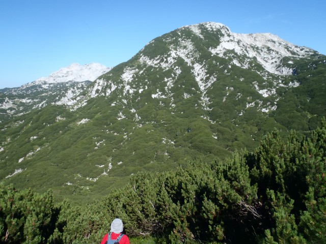 Veliki vrh in Velika Zalenica. 2110m.