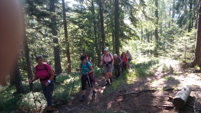 20190720 Ciprnik - foto